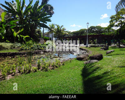 I pesci ornamentali stagno di Jardins de Pa'OFA'i (giardino di Paofai) in Papeete Polinesia Francese. Foto Stock