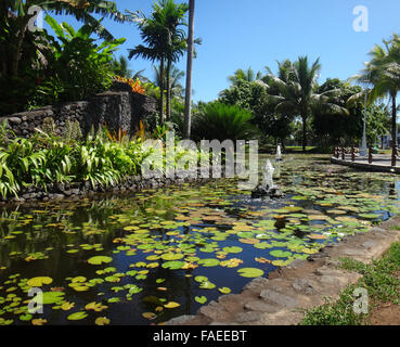 I pesci ornamentali stagno di Jardins de Pa'OFA'i (giardino di Paofai) in Papeete Polinesia Francese. Foto Stock