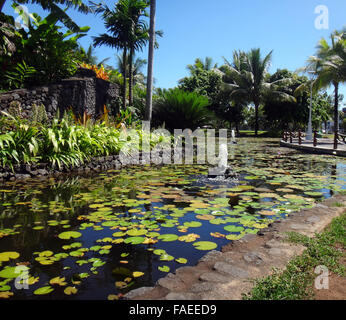 I pesci ornamentali stagno di Jardins de Pa'OFA'i (giardino di Paofai) in Papeete Polinesia Francese. Foto Stock