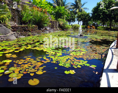 I pesci ornamentali stagno di Jardins de Pa'OFA'i (giardino di Paofai) in Papeete Polinesia Francese. Foto Stock