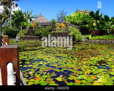 I pesci ornamentali stagno di Jardins de Pa'OFA'i (giardino di Paofai) in Papeete Polinesia Francese. Foto Stock