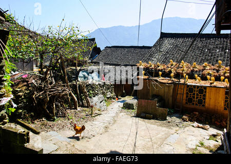 Longji terrazze di riso,Dazhai villaggi, Area circostante,raccolti di riso,Zhuang e Yao villaggi,Longsheng,provincia di Guangxi,PRC,Persone' Foto Stock