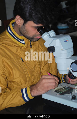 Studenti che lavorano con il microscopio Foto Stock