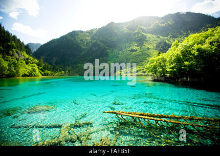 Lago di Jiuzhaigou, Sichuan, in Cina Foto Stock