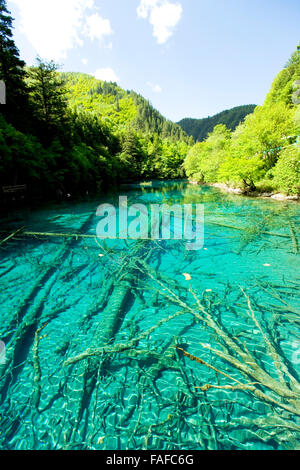 Lago di Jiuzhaigou, Sichuan, in Cina Foto Stock