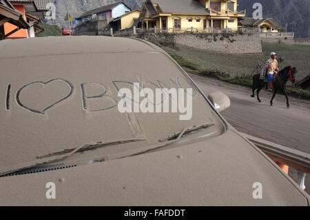 Pasuruan, Indonesia. 29 Dic, 2015. I residenti in esecuzione Tenggerese cavallo nel villaggio di Cemoro Lawang, Sukapura, Probolinggo, East Java. L'impatto dell'eruzione ha portato in 24 distretti in due contee e una città colpite dalle ceneri vulcaniche colata di materiale, come pure molti danneggiato i terreni agricoli e il fallimento di raccolto. Credito: Adhitya Hendra/Pacific Press/Alamy Live News Foto Stock