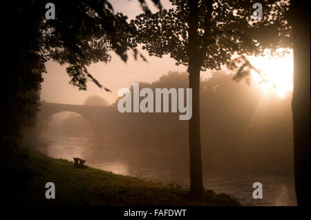 La nebbia in Sud Tyne. Ponte di Ridley, Northumberland Foto Stock