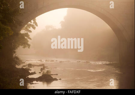 La nebbia in Sud Tyne. Ponte di Ridley, Northumberland Foto Stock