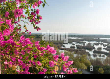 Grandi sale-acqua laguna di alcudia in Mallorca Foto Stock