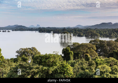 Vista del Lago Kandalama con Roccia di Sigiriya in distanza. Prese a Heritance Kandalama Hotel nei pressi di Dambulla, Sri Lanka Foto Stock