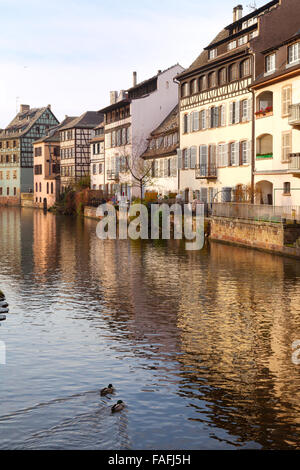 Il fiume Ill fluente attraverso la Petite France di Strasburgo Città Vecchia, Alsazia, Francia Europa Foto Stock