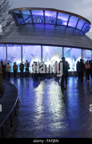 Seaglass Carousel Pavilion in Battery Park, New York Foto Stock