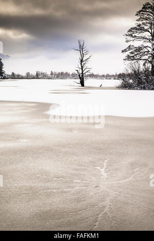 Loch Mallachie Inverno.nel Parco Nazionale di Cairngorms della Scozia. Foto Stock