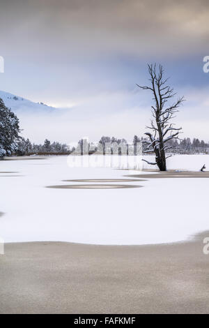 Loch Mallachie Inverno.nel Parco Nazionale di Cairngorms della Scozia. Foto Stock