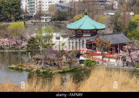 Bentendo con laghetto Shinobazu presso il parco Ueno, Tokyo durante la fioritura dei ciliegi stagione Foto Stock