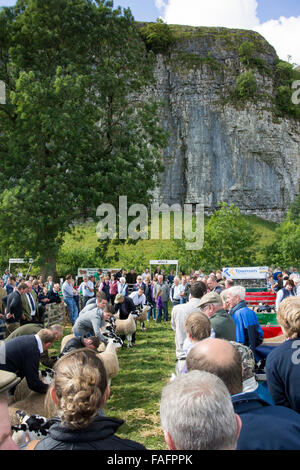 Kilnsey Show, 2015 grande spettacolo agricolo tenuto sotto Kilnsey Crag in Wharfedale, North Yorkshire, Regno Unito. Foto Stock