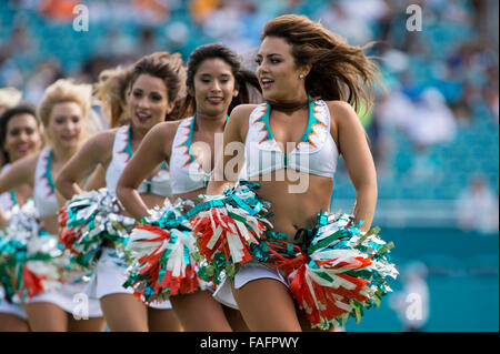 Giardini di Miami, FL, Stati Uniti d'America. 27 Dic, 2015. I Delfini di Miami Cheerleaders in azione durante la NFL partita di calcio tra i delfini di Miami e Indianapolis Colts a Sun Life Stadium di Miami FL. Il Colts ha sconfitto i delfini 18-12. © csm/Alamy Live News Foto Stock