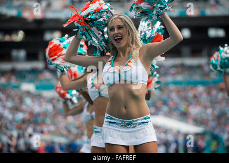 Giardini di Miami, FL, Stati Uniti d'America. 27 Dic, 2015. I Delfini di Miami Cheerleaders in azione durante la NFL partita di calcio tra i delfini di Miami e Indianapolis Colts a Sun Life Stadium di Miami FL. Il Colts ha sconfitto i delfini 18-12. © csm/Alamy Live News Foto Stock