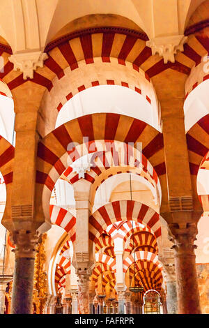 Archi pilastri Mezquita Cordoba Spagna. Creato in 785 come una moschea, è stato convertito in una cattedrale nel 1500. 850 colonne Foto Stock