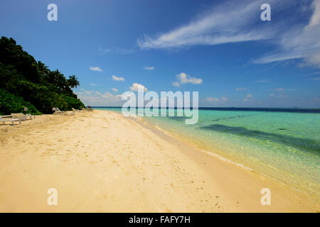 Spiaggia, Biyahdoo Isola, Maldive, Oceano Indiano Foto Stock