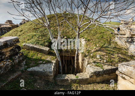 Turchia - VIAGGIO AD precoce periodo di tombe in pietra della Frigia necropoli di Hierapolis, Pammukale. Albero che cresce dal tumulo tomba Foto Stock