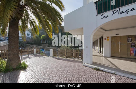 Palm Tree e vuoto plaza nella luce del sole su una soleggiata giornata invernale Foto Stock