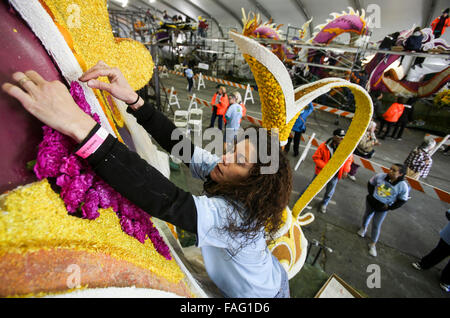 Los Angeles, Stati Uniti d'America. 29 Dic, 2015. Un volontario decora un fiore galleggiante davanti al 127torneo annuale di Rose Parade di Pasadena, California, Stati Uniti, Dic 29, 2015. Meglio conosciuto come il Rose Parade, il festival di coperto di fiori galleggianti avrà luogo il giorno di Capodanno, 1 gennaio, 2016. Credito: Zhao Hanrong/Xinhua/Alamy Live News Foto Stock