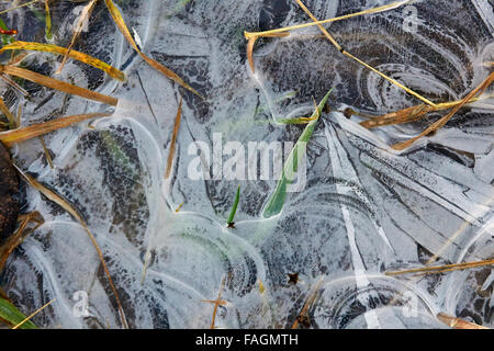 Pozza congelati a terra Foto Stock