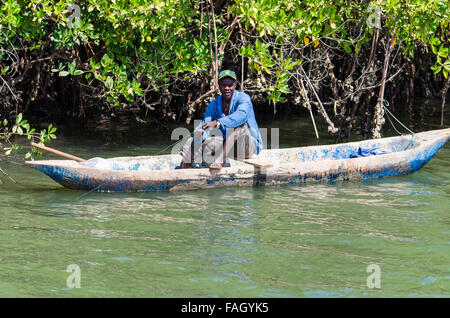 Pescatore nelle paludi di mangrovie intorno al ponte di Denton Gambia Foto Stock