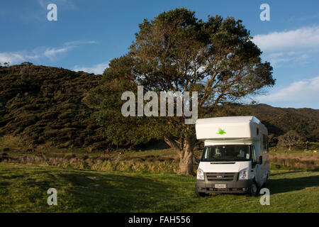 Kea campervan sotto una nuova zelanda albero di Natale a DoC campeggio Baia di acqueviti nel lontano nord Distretto di Nuova Zelanda. Foto Stock