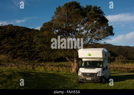 Kea campervan sotto una nuova zelanda albero di Natale a DoC campeggio Baia di acqueviti nel lontano nord Distretto di Nuova Zelanda. Foto Stock