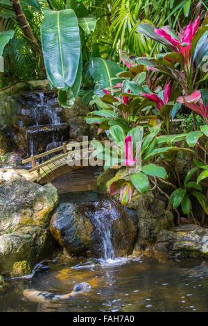 Una piccola cascata in scena a Sunken Gardens in St Petersburg Florida Foto Stock
