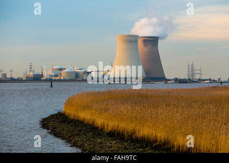 Il belga Doel Nuclear Power Station, vicino ad Anversa, sulla Schelda, centrale nucleare con potenza di 4 unità di impianto Foto Stock