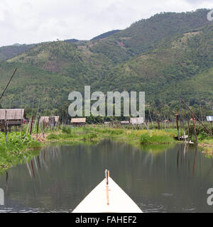 Stilted case sul Lago Inle in Myanmar (Birmania). La casa è circondata da vegetazione galleggiante che viene coltivata. Foto Stock