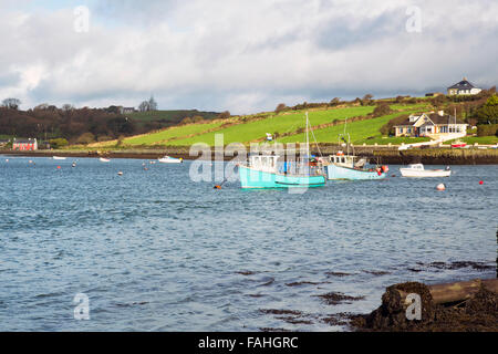 Strada da anello, nr clonakilty West Cork, Irlanda Foto Stock