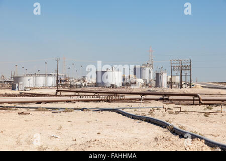 Impianti petrolchimici nel deserto Foto Stock