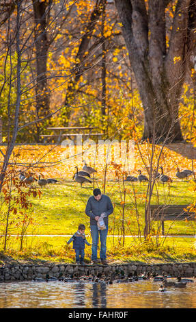 Parchi di Boise, padre e figlio di alimentazione di oche. Julia Davis Park Pond, Fiume Boise Greenbelt, Boise, Idaho, Stati Uniti d'America Foto Stock