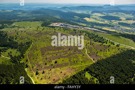 Vista aerea, Rothaar colline, brughiera a Niedersfeld, Winterberg, Sauerland, Renania settentrionale-Vestfalia, Germania, Europa Foto Stock