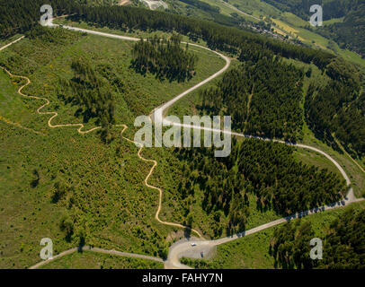 Vista aerea, percorso tortuoso, prato, conifere, pini, avvolta ad anello percorso di montagna a brughiera capanna a Niedersfeld, Rothaarhills, Foto Stock