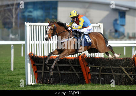 PIC FILE: -Jump Jockey AP McCoy diventa un cavaliere in nuovi successi di anni elenco 2016 per i servizi per le corse di cavalli. Xenophon cavalcato da AP McCoy prendere l'ultima nel Ultima"s James Cartwright e Neil Thomson capretti Handicap Hurdle Cl3 2m3f - Horse Racing all ippodromo di Newbury, Berkshire - 24/03/2012 Credit: MARTIN DALTON/Alamy Live News Foto Stock