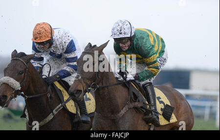 PIC FILE: -Jump Jockey AP McCoy diventa un cavaliere in nuovi successi di anni elenco 2016 per i servizi per le corse di cavalli. Ripresa cavalcato da AP McCoy vince il leggere Nicholls e McCain esclusivamente su Betfair Handicap Hurdle Cl2 - Horse Racing a Newbury Racecourse, Newbury, Berkshire 08/02/2014 Credit: MARTIN DALTON/Alamy Live News Foto Stock