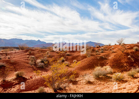 La Valle del Fuoco del parco statale, Nevada Foto Stock