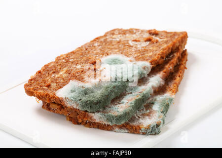 Fette di pane ricoperte con stampo Foto Stock