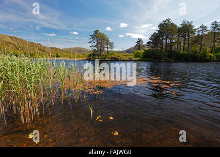 Lago vicino Kenmare presso la strada per Gleninchaquin Park, Irlanda Foto Stock