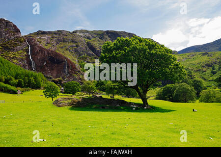 Parco Gleninchaquin sulla penisola di Beara vicino a Kenmare, Co. Kerry, Irlanda Foto Stock