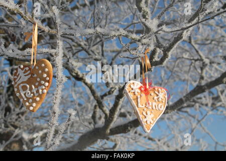 Due biscotti dolci in forma di cuori appendere su inverno albero nella giornata di sole Foto Stock
