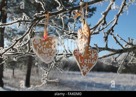 Dolce biscotti di Natale in forma di cuori appendere su albero di inverno Foto Stock