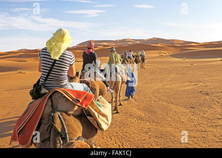 Camel caravan andando attraverso le dune di sabbia nel deserto del Sahara Foto Stock