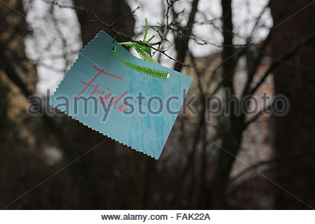 Coburg, Germania. 31 dicembre 2015. Desiderio del nuovo anno: Il desiderio di pace di una persona nel nuovo anno è appeso ad un ramo di albero nella Piazza del Teatro a Coburg, Germania Credit: Clearpix/Alamy Live News Foto Stock