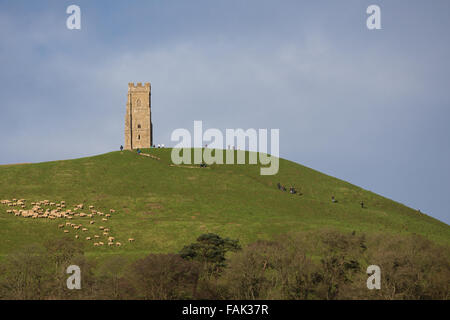 Glastonbury, Somerset, Regno Unito. Il 31 dicembre, 2015. Centinaia di persone che fanno il pellegrinaggio Vigilia di Capodanno al top di Glastonbury Tor nonostante i forti venti e minaccia di docce a pioggia. Molte più persone rimarranno sul fianco di una collina che si affaccia sulla pianura alluvionale del Somerset per vedere la prima alba del 2016. Credito: Wayne Farrell/Alamy Live News Foto Stock